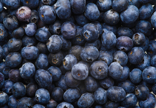 Close-up. Blueberry. Lots of facilities. Vitamins, antioxidants. Healthy lifestyle, vegetarian food. Cooking, preparation of sweets, drinks, sauces.