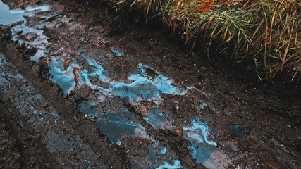 Smudges of Toxic Industrial Liquid Chemical Pollutant Visible on Surface of Rain Water Puddles on...