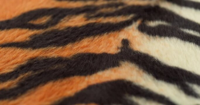 Tiger fur fabric close-up. Animal print background, striped wool textile. Symbol of year 2022. Handmade, fashion design and tailoring concept. 