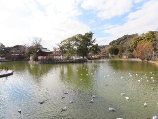 Fototapeta na wymiar Tsuruoka Hachiman Shrine
