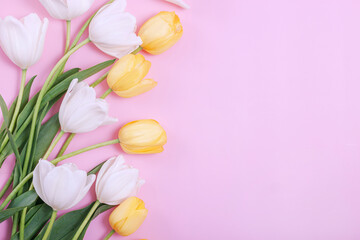 Bouquet of white tulips on pink background.