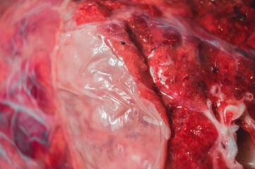 A piece of beef lung close-up. Meat for cooking. Selective focus