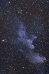 魔女の横顔星雲 (IC2118)