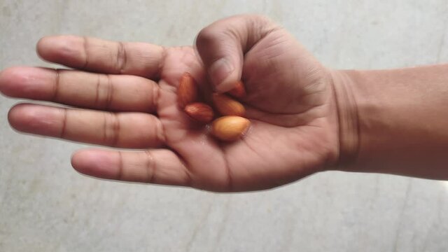 almonds in palm of the hand. fist opening with almonds inside.