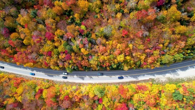Aerial view of scenic highway with cars driving and peak fall colors