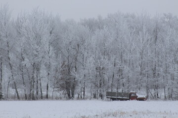 Truck in the winter field 