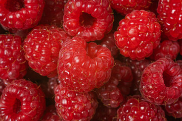 Raspberry berry isolated on white background