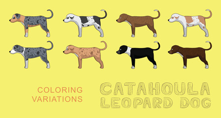 Dog Catahoula Leopard Dog Coloring Variations Cartoon Vector Illustration