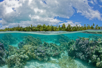 Raiatea polynesie francaise - lagon de tahaa