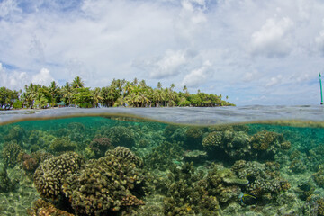 Raiatea polynesie francaise - motu (petit ilot ) dans le lagon de tahaa
