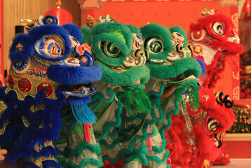 celebrating chinese lion dance team