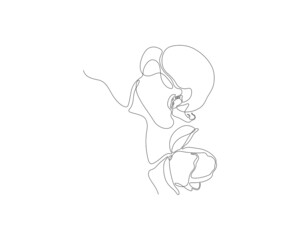 Orchid, continuous line drawing vector illustration