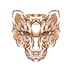 tiger head color vector illustration