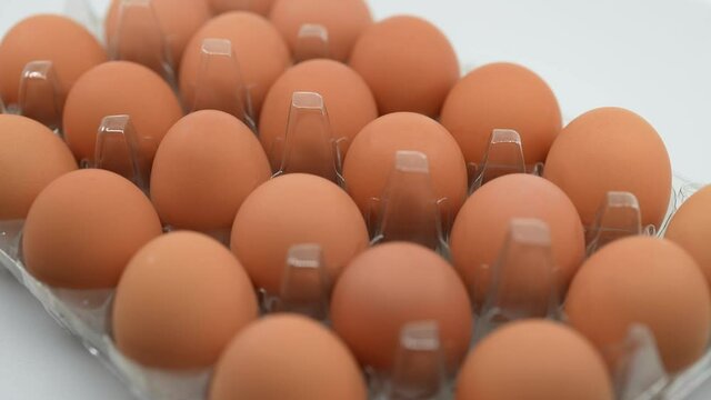 Raw Chicken Eggs in a Plastic Holder