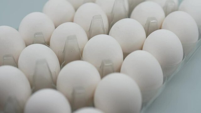 Raw Chicken Eggs in a Plastic Holder