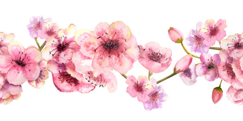 Fototapeta na wymiar Seamless border with blossoming sakura branches on a white background. Watercolor illustration drawn by hand