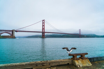 The Golden Gate bridge in the morning, San Francisco, California.