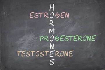 Female sex hormones estrogen progesterone and testosterone on blackboard written in crossword.  - obrazy, fototapety, plakaty