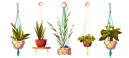 Fototapeta na wymiar House plants in hanging pots, planters in macrame hangers. Vector cartoon set of flowers in handmade holders from rope for home interior decoration isolated on white background
