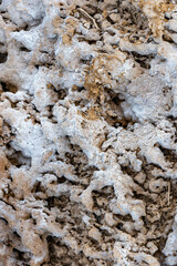 Layers of salt on the shores of Salt Lake