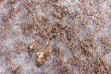 Layers of salt on the lake shore