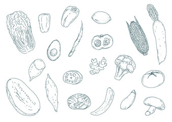 野菜のおしゃれな線画セット
Fashionable line art set of vegetables