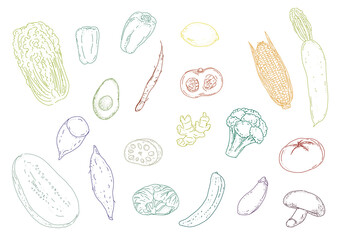 野菜のおしゃれな線画セット（線画カラー）Fashionable line art set of vegetables (line art color)