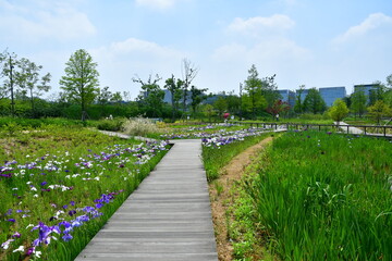 꽃길
