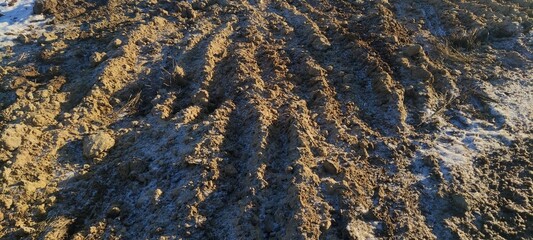 texture of the ground