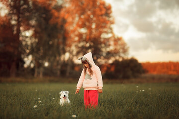 Little girl walking with a Jack Russell Terrier dog in a field at sunset
