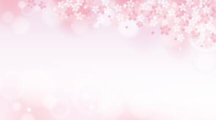  Pink cherry blossom flower with sunlight background