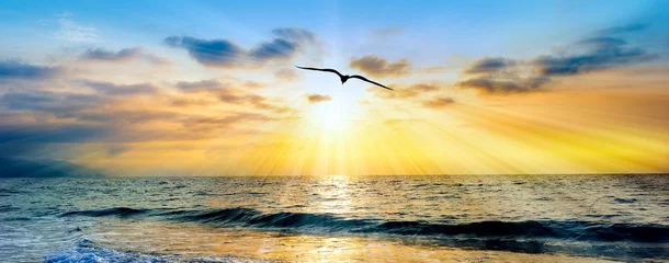 Foto op Canvas Zonsondergang Oceaan Vogel Silhouet Inspiratie Banner © mexitographer