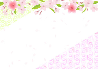 Cherry blossom background illustration (vector)
