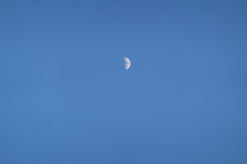 luna