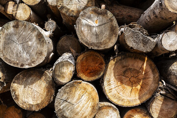 Natural wooden background, closeup of chopped firewood