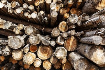 Natural wooden background, closeup of chopped firewood