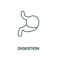 Digestion icon. Monochrome sign from diet collection. Creative Digestion icon illustration for web design, infographics and more