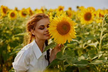 woman with two pigtails In a field with blooming sunflowers unaltered