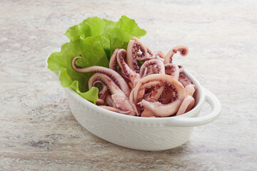 Marinated squid tentacles in the bowl