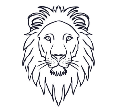 Tags - lion face drawing - PngFile.net | Free PNG Images Download-saigonsouth.com.vn