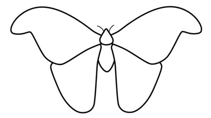Butterfly black and white outline illustration. Coloring book or page for kids