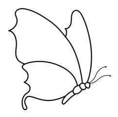 Butterfly black and white outline illustration. Coloring book or page for kids