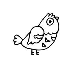 Funny bird in style of doodles. Fabulous cartoon character. Outline sketch. Hand drawing isolated on a white background. Vector