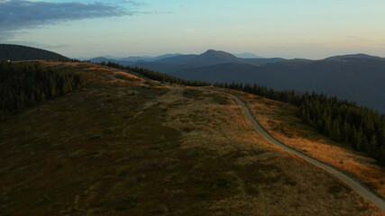 Fototapeta na wymiar Drone green mountain path view with amazing spruces growing agains sunset sky