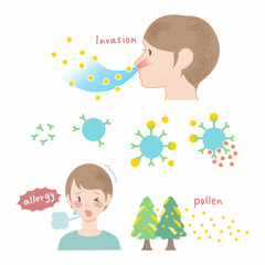 花粉症のしくみのイラスト（説明文字なし）説明図 図表 アレルギー

