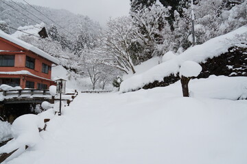 雪の日の京都美山かやぶきの里