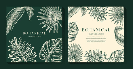 Tropical Leaves Background