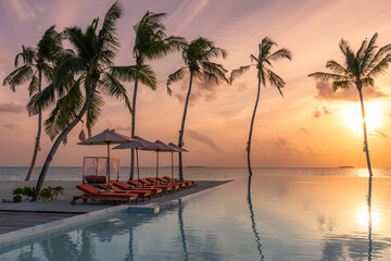Fantastic poolside, sunset sky, palm trees reflection. Luxury tropical beach landscape, infinity swimming pool, deck chairs and loungers under umbrellas amazing scenic. Vacation resort hotel landscape