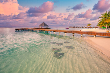 Stunning tropical beach banner. White sand, ocean lagoon with sting rays and sharks. Sunset...