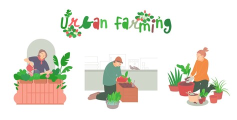 Urban farming, gardening. Flat characters. Editable vector illustration